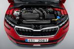 Skoda Kamiq 2019 года (WW)